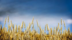 Dreamstime Xxl 55977149 649c518e93290 Dreamstime Xxl 55977149 649c518e93290