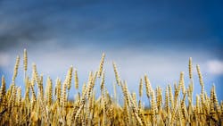 Dreamstime Xxl 55977149 649c518e93290 Dreamstime Xxl 55977149 649c518e93290