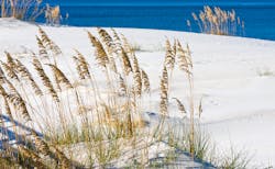 The U.S. Gulf Coast is one of three locations where research is being conducted within the wider DARPA Reefense program. The U.S. Gulf Coast is one of three locations where research is being conducted within the wider DARPA Reefense program.