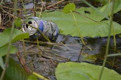 Structural BMPs for trash capture in open waterways use booms, nets, fences and skimmers. Structural BMPs for trash capture in open waterways use booms, nets, fences and skimmers.