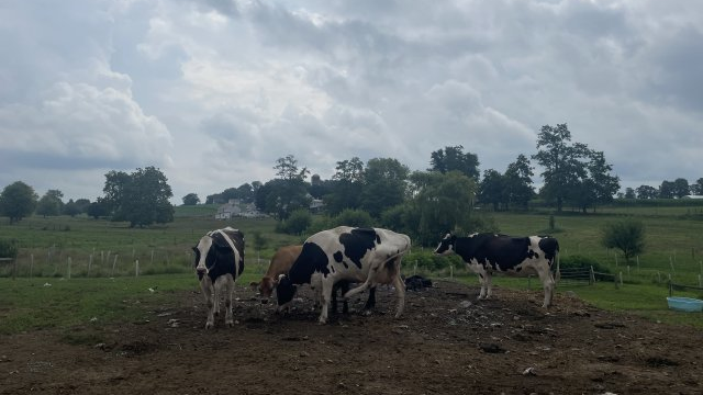 Farmland 64c7e9dfb4e75