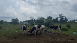 Farmland 64c7e9dfb4e75 Farmland 64c7e9dfb4e75