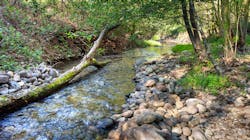 Willow Creek in Folsom, California. Photo taken March 27, 2015. Willow Creek in Folsom, California. Photo taken March 27, 2015.