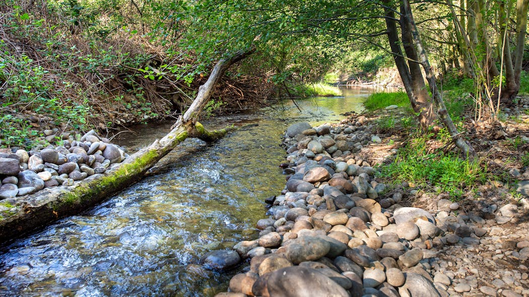 Willow Creek in Folsom, California. Photo taken March 27, 2015.