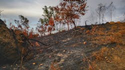 Dreamstime Xl 143434361 64b964c0a1896 Dreamstime Xl 143434361 64b964c0a1896