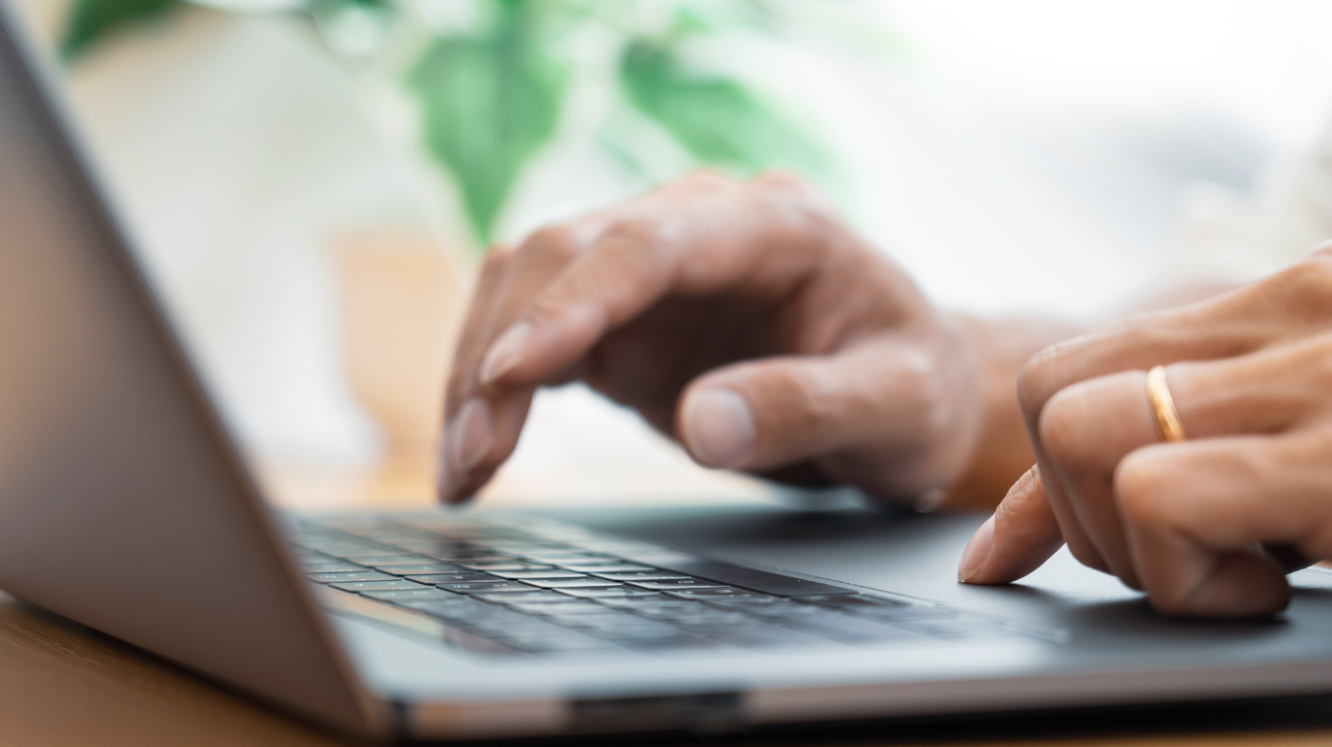 Dreamstime Xxl 149778479 64c416edef931