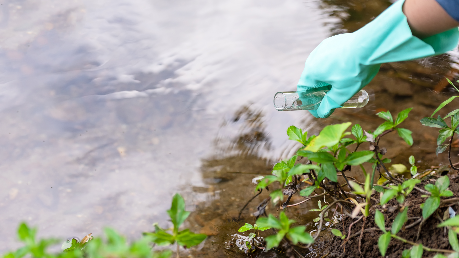 Dreamstime Xxl 164049026 64baaad05af97