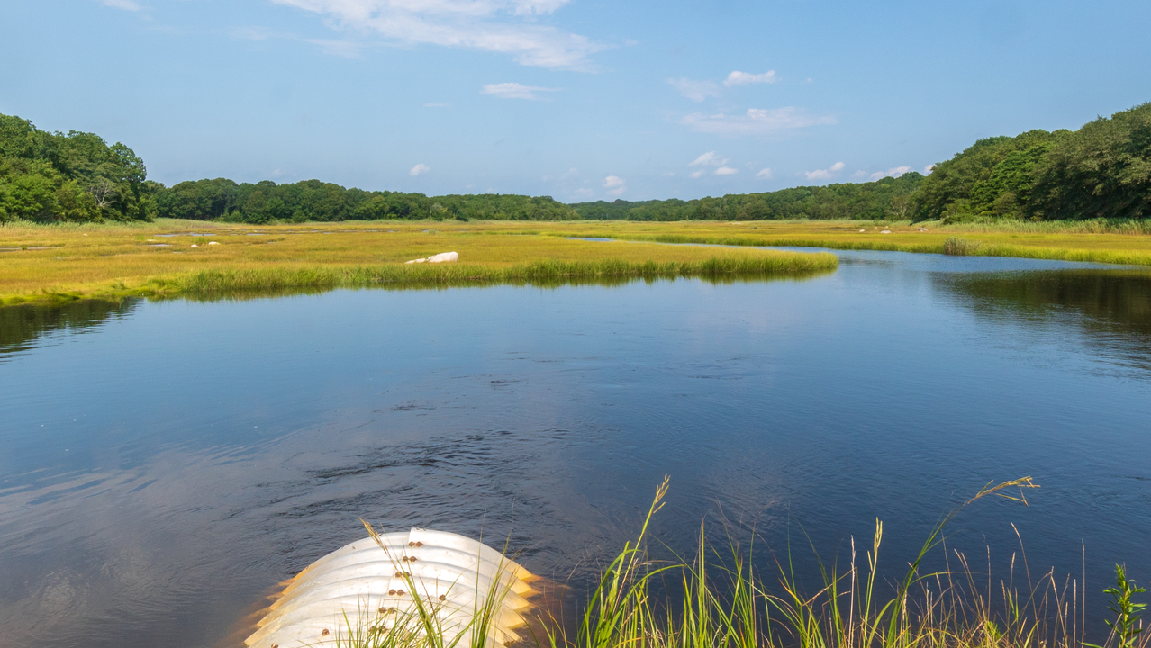 Dreamstime Xxl 165407546 64a6dbc72130f