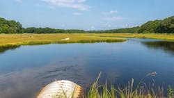 Dreamstime Xxl 165407546 64a6dbc72130f Dreamstime Xxl 165407546 64a6dbc72130f