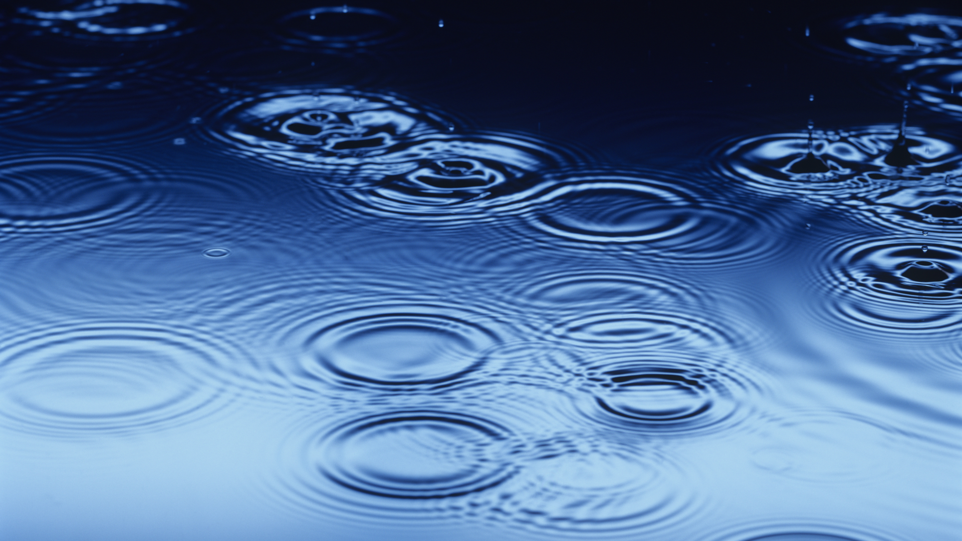 Dreamstime Xxl 30845298 64a833a509e9e