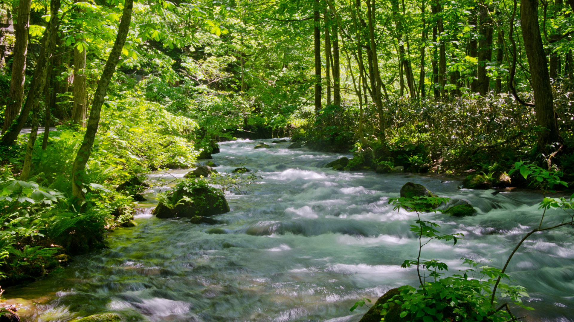 Dreamstime Xxl 41492402 64ac3374c08cb