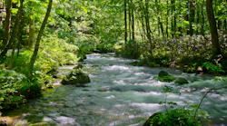 Dreamstime Xxl 41492402