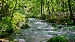 Dreamstime Xxl 41492402 64ac3374c08cb Dreamstime Xxl 41492402 64ac3374c08cb