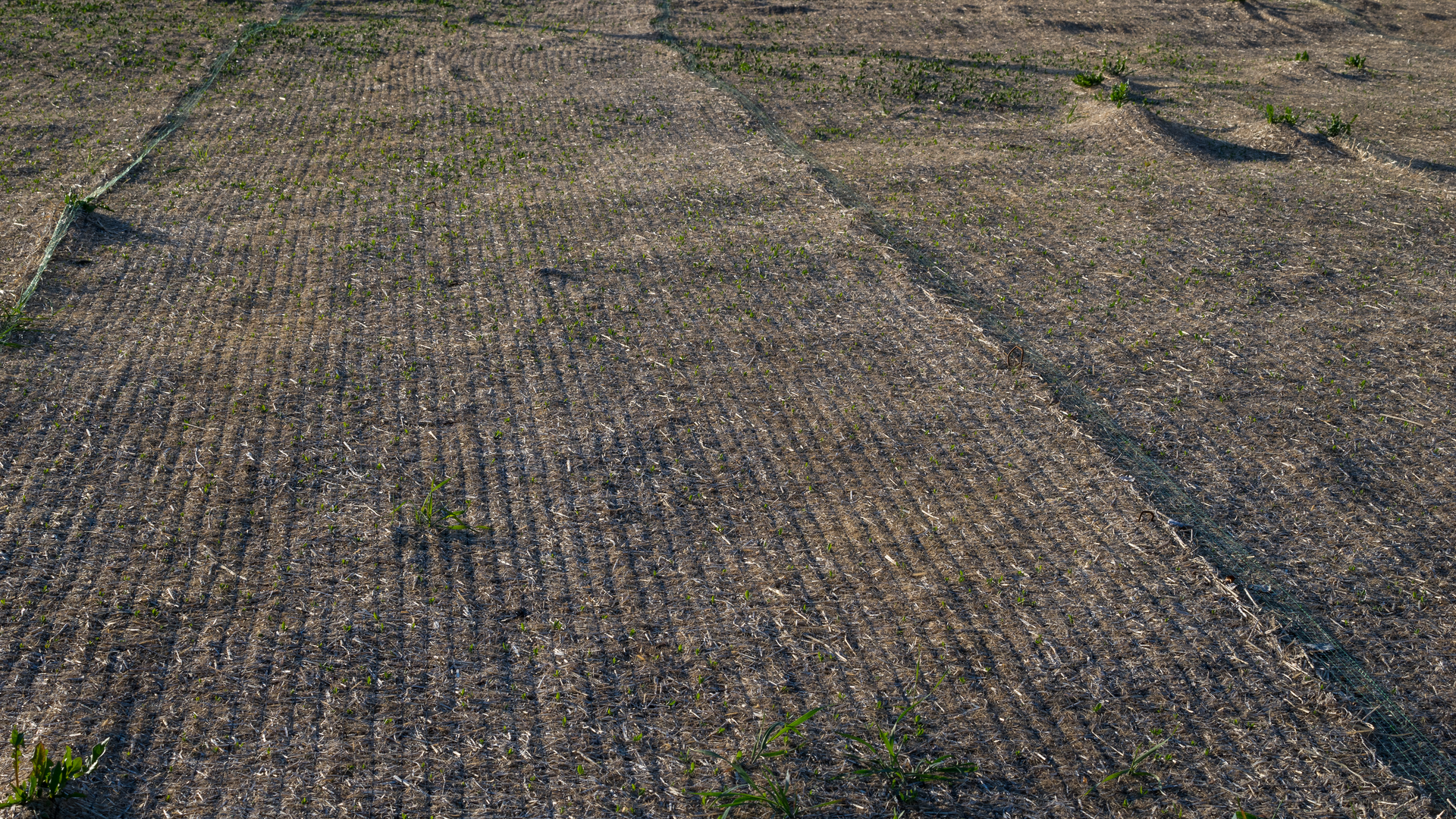 Dreamstime Xxl 54370402