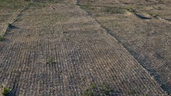 Dreamstime Xxl 54370402 64bacb354fd27 Dreamstime Xxl 54370402 64bacb354fd27