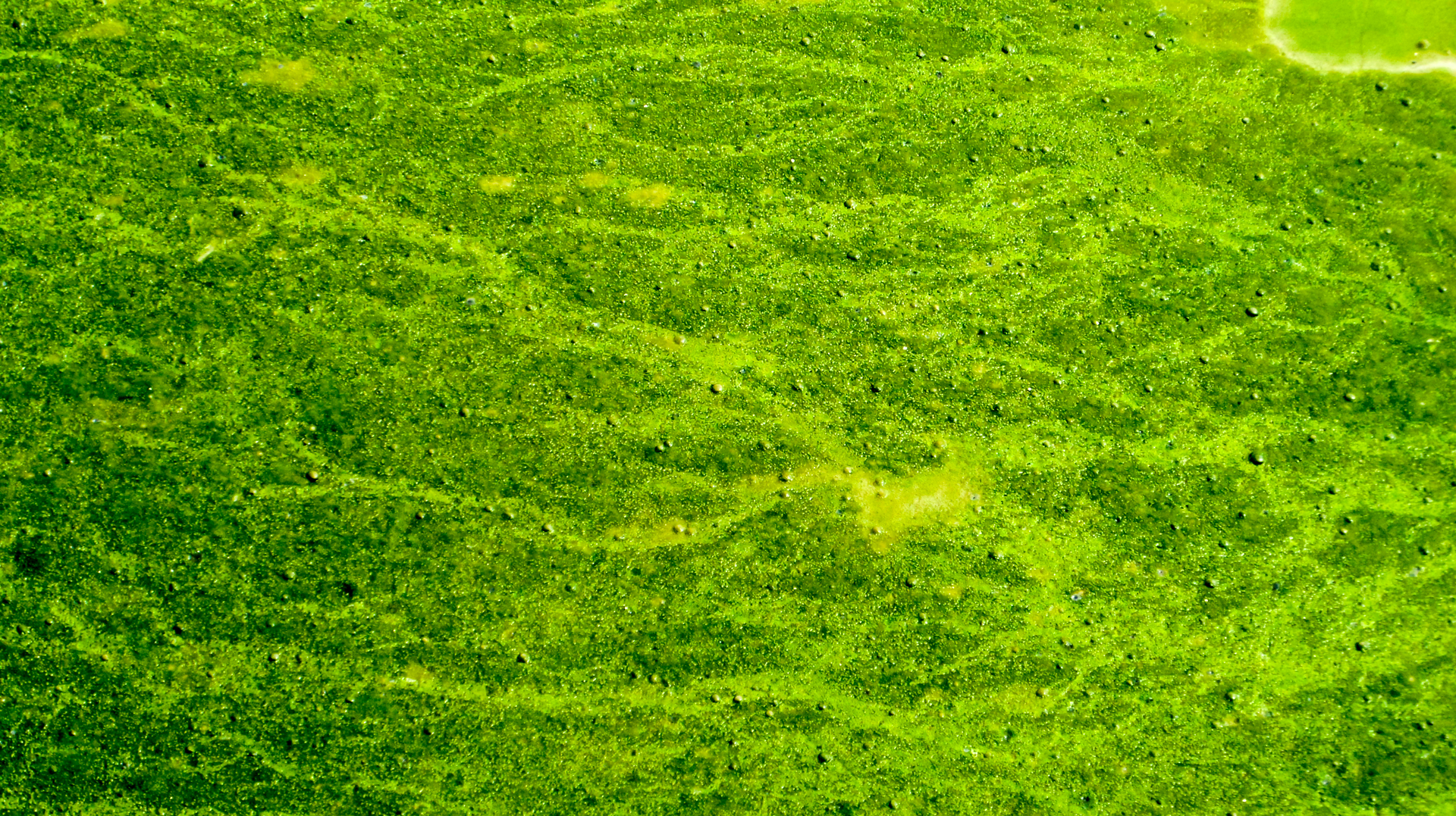 Dreamstime Xxl 98706328 64be8a85ef1d1