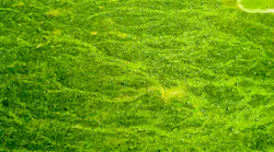 Dreamstime Xxl 98706328