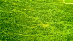 Dreamstime Xxl 98706328 64be8a85ef1d1 Dreamstime Xxl 98706328 64be8a85ef1d1