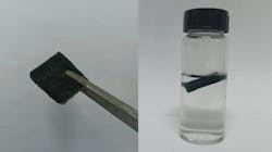 Low Res 080923 Algal Bloom Sponge 64cd1920e3f45 Low Res 080923 Algal Bloom Sponge 64cd1920e3f45