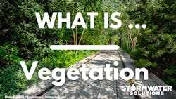 What Is 4 64e661cab81ed What Is 4 64e661cab81ed