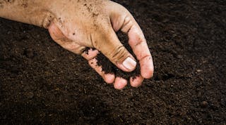Soil pH can affect the activation of fertilizers by altering the availability of many nutrients and can affect the activity of soil microbes.