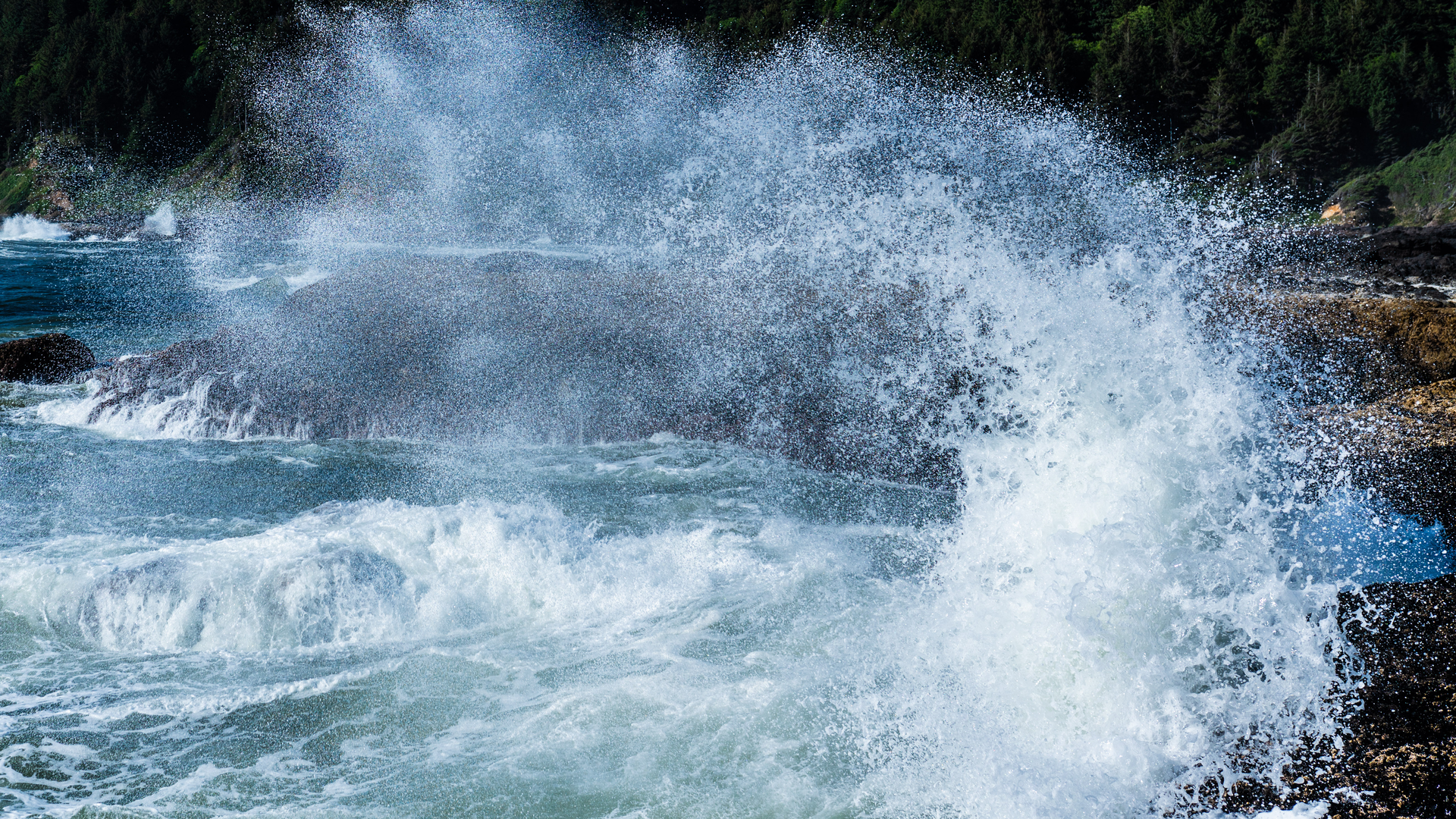 Dreamstime Xxl 126268777 64c9295c97a8b