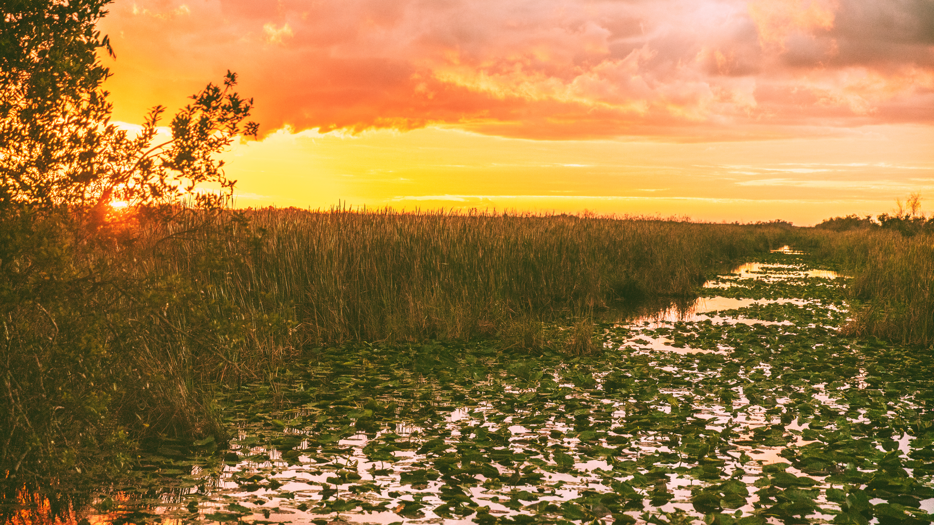 Dreamstime Xxl 194177927 64ef687a189fa