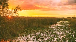 Dreamstime Xxl 194177927 Dreamstime Xxl 194177927