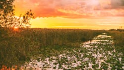 Dreamstime Xxl 194177927 64ef687a189fa Dreamstime Xxl 194177927 64ef687a189fa