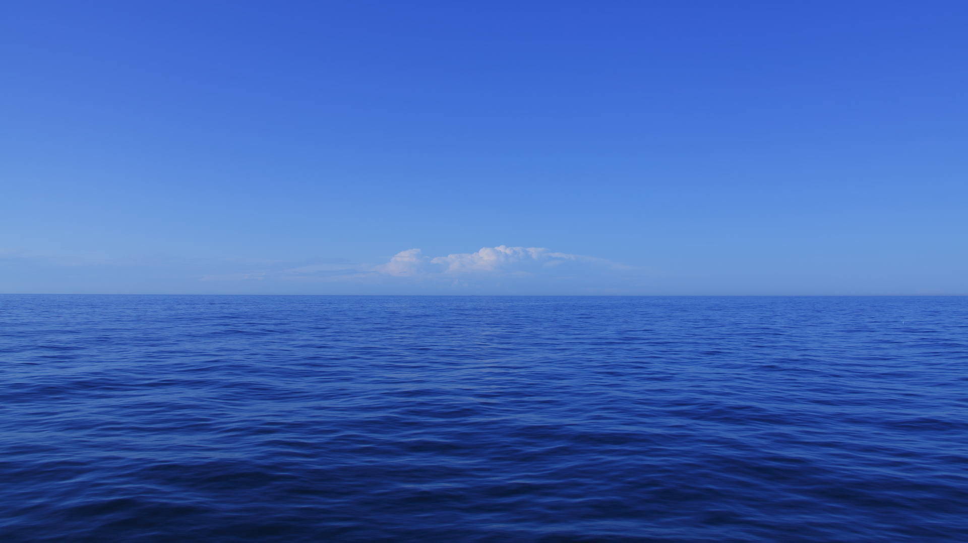 Dreamstime Xxl 21051337 64e8d4bda1d9c