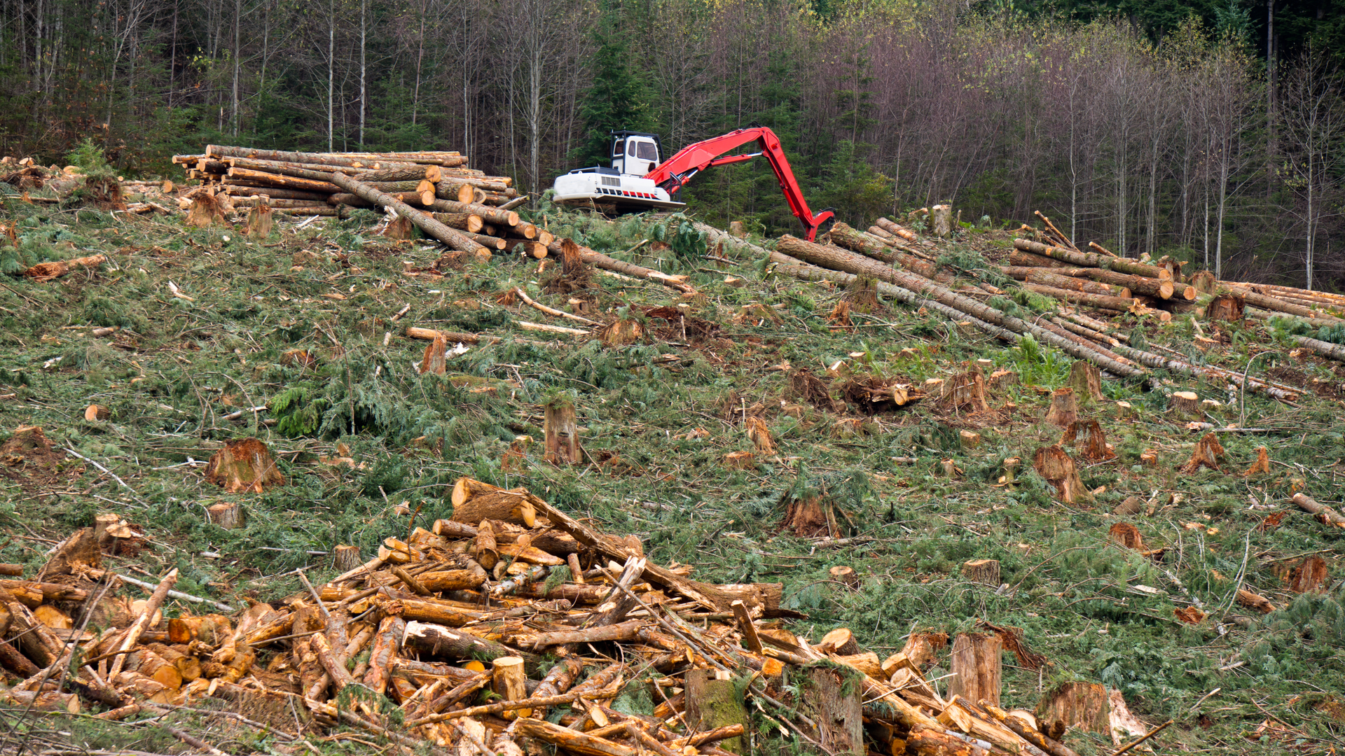 Dreamstime Xxl 27668760 64d1268724b9b