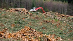 Dreamstime Xxl 27668760 64d1268724b9b Dreamstime Xxl 27668760 64d1268724b9b