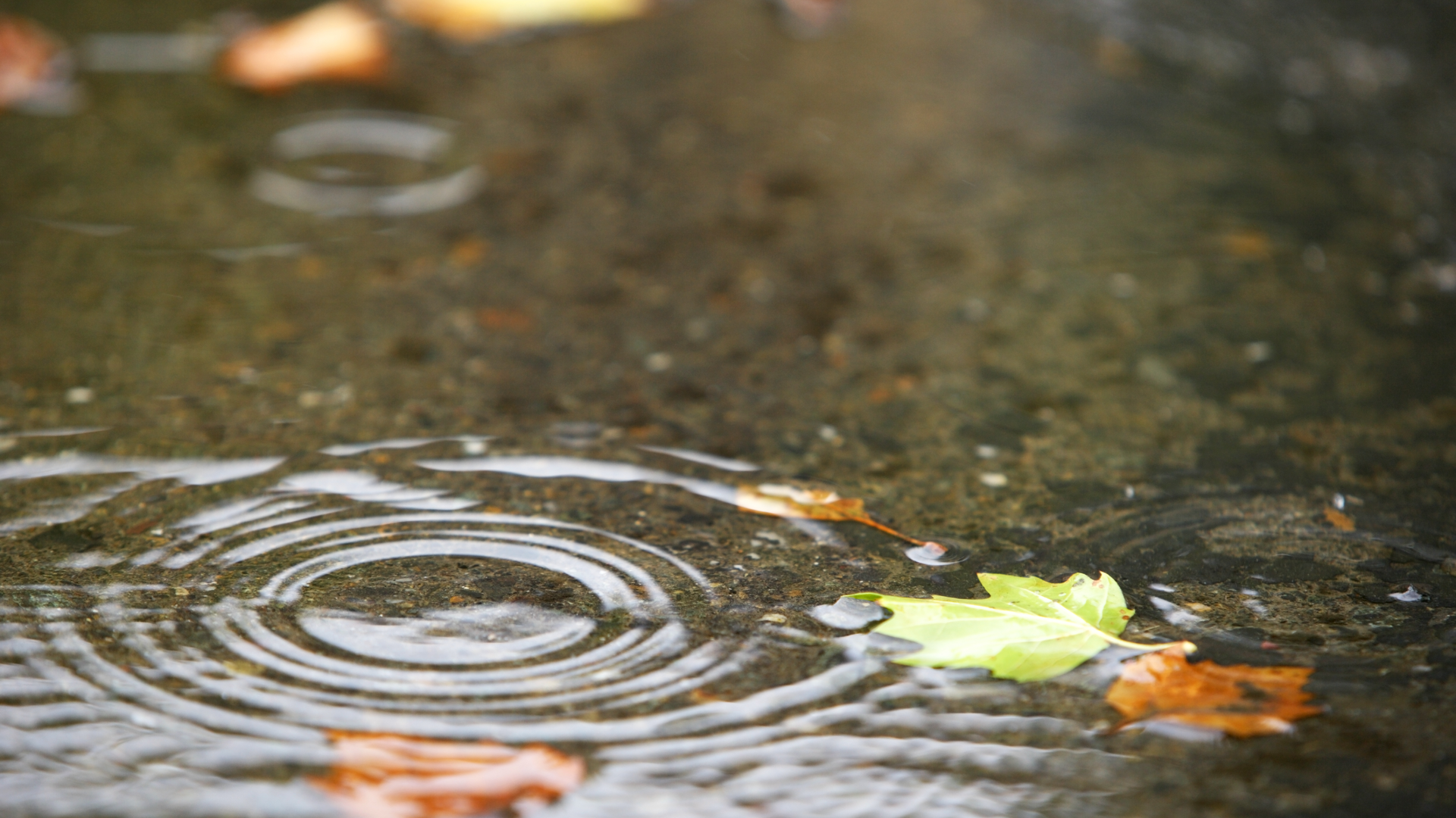 Dreamstime Xxl 6972058 64e791089a1c8