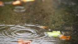 Dreamstime Xxl 6972058 64e791089a1c8 Dreamstime Xxl 6972058 64e791089a1c8