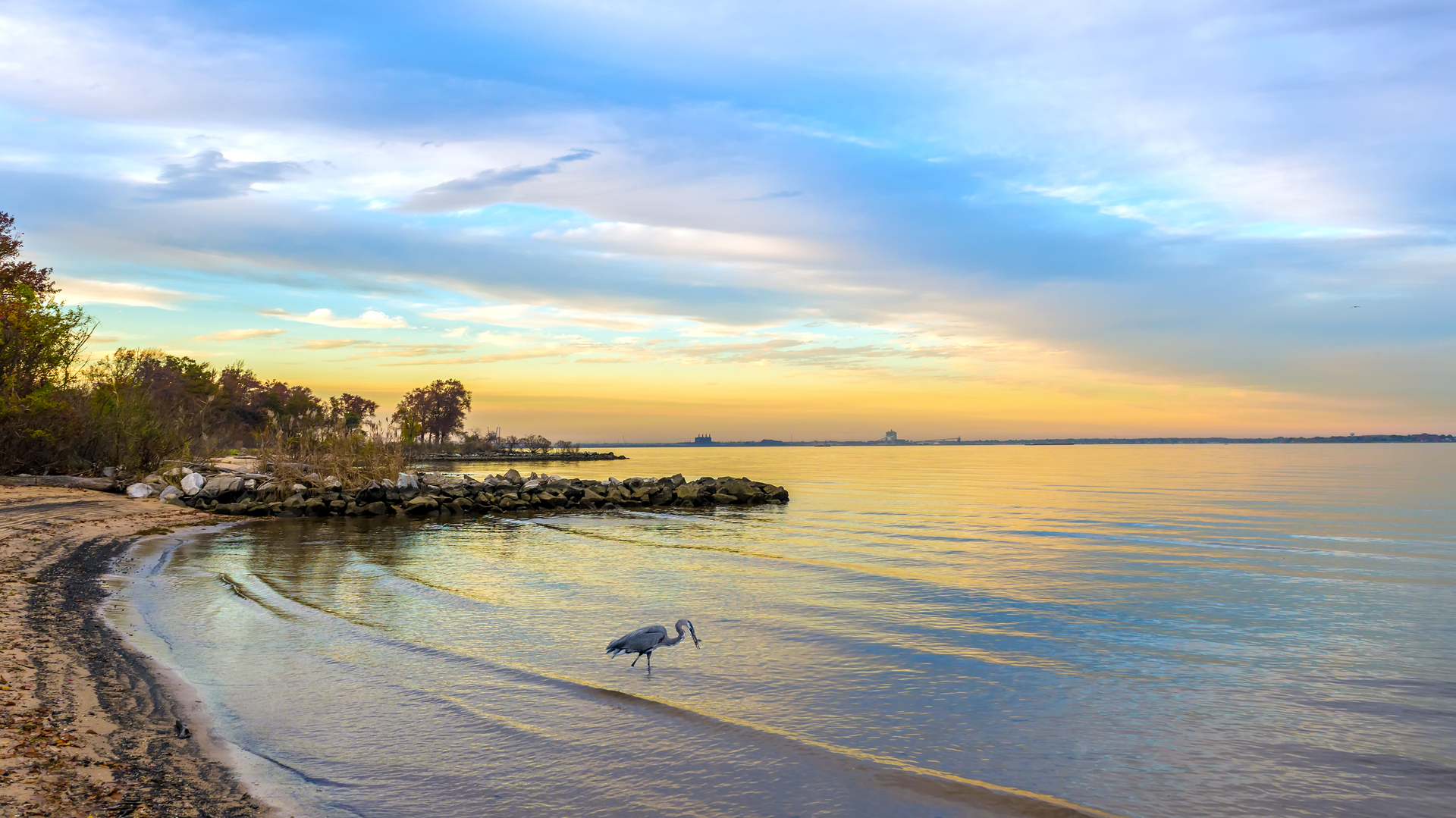 Dreamstime Xxl 70689500 64d656ab4f5e0