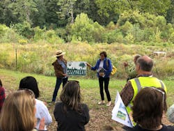 A project in Atlanta includes approximately 1,100 linear feet of stream restoration and the rerouting of several storm sewers. A project in Atlanta includes approximately 1,100 linear feet of stream restoration and the rerouting of several storm sewers.