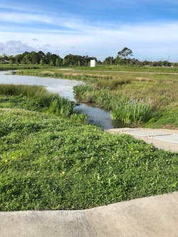 Native plants have been incorporated into the vegetation surrounding the detention ponds