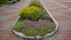 Dreamstime Xl 188444442 64ff6dd231bfb Dreamstime Xl 188444442 64ff6dd231bfb