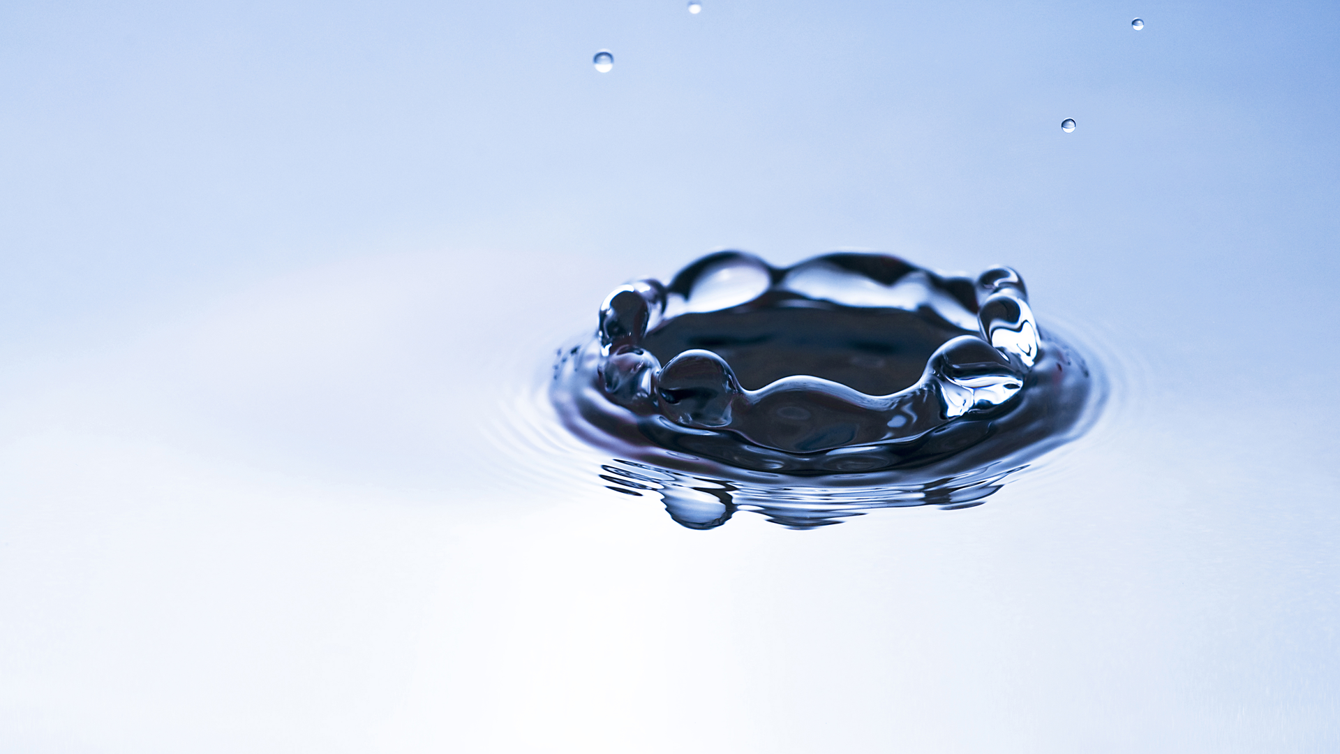 Dreamstime Xxl 19791656 6504747673a6f