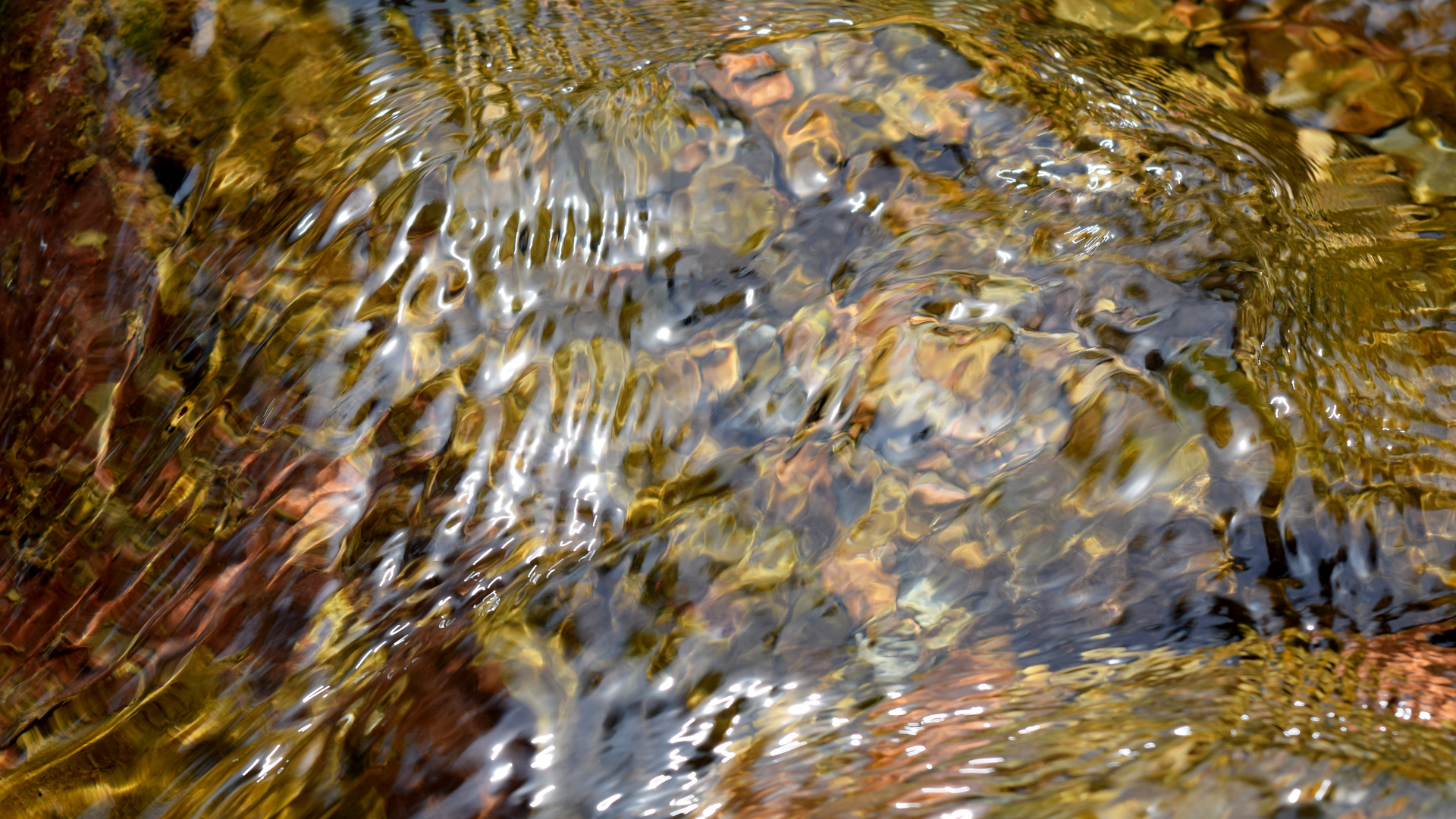 Dreamstime Xxl 54887938 1 65119ad88a3ad