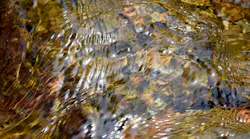 Dreamstime Xxl 54887938 (1)