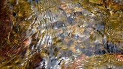 Dreamstime Xxl 54887938 1 65119ad88a3ad Dreamstime Xxl 54887938 1 65119ad88a3ad