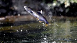 Dreamstime Xxl 90329607 65009171c4ad5 Dreamstime Xxl 90329607 65009171c4ad5