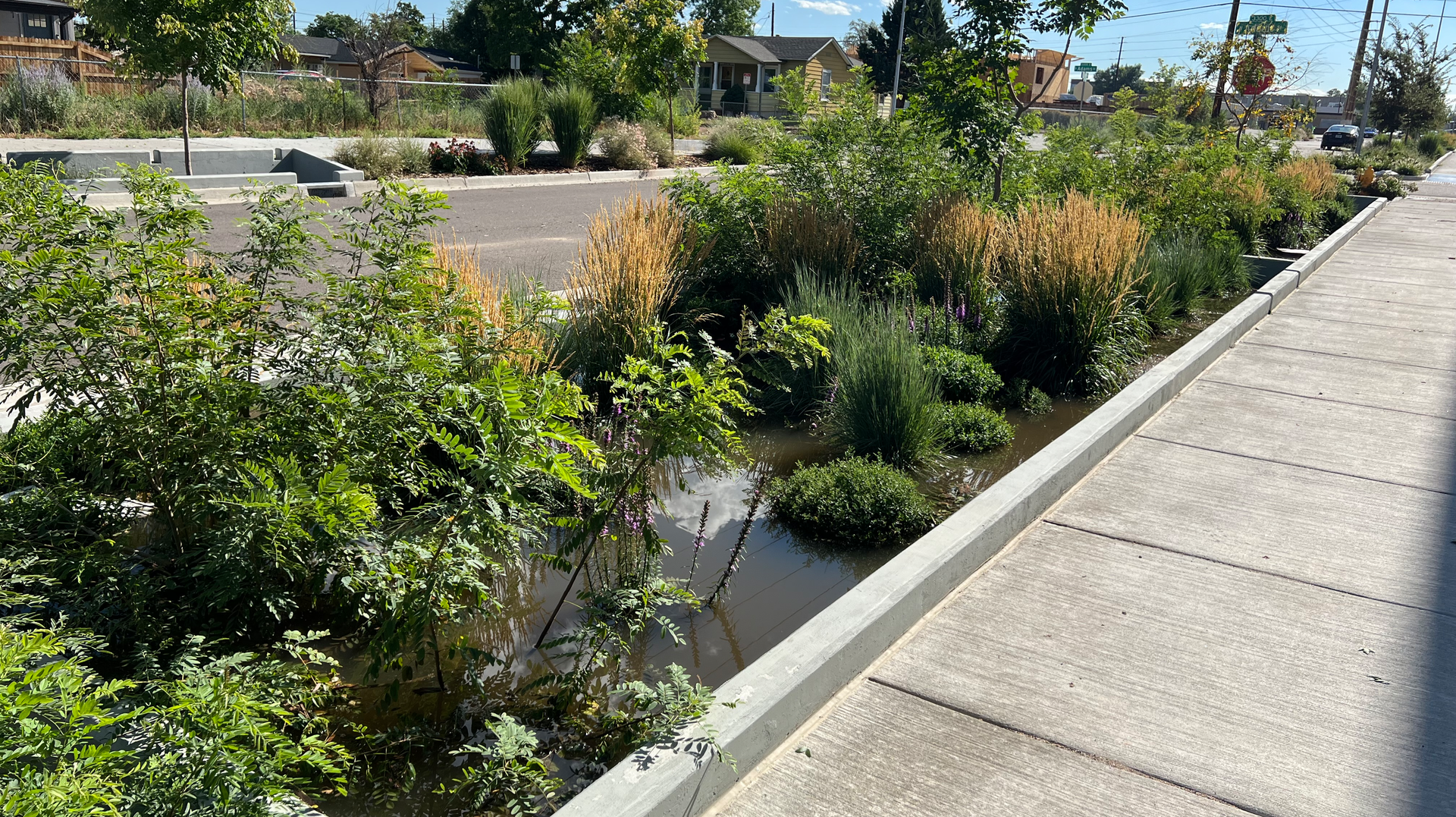 Planter In Action Use 652987e15a332