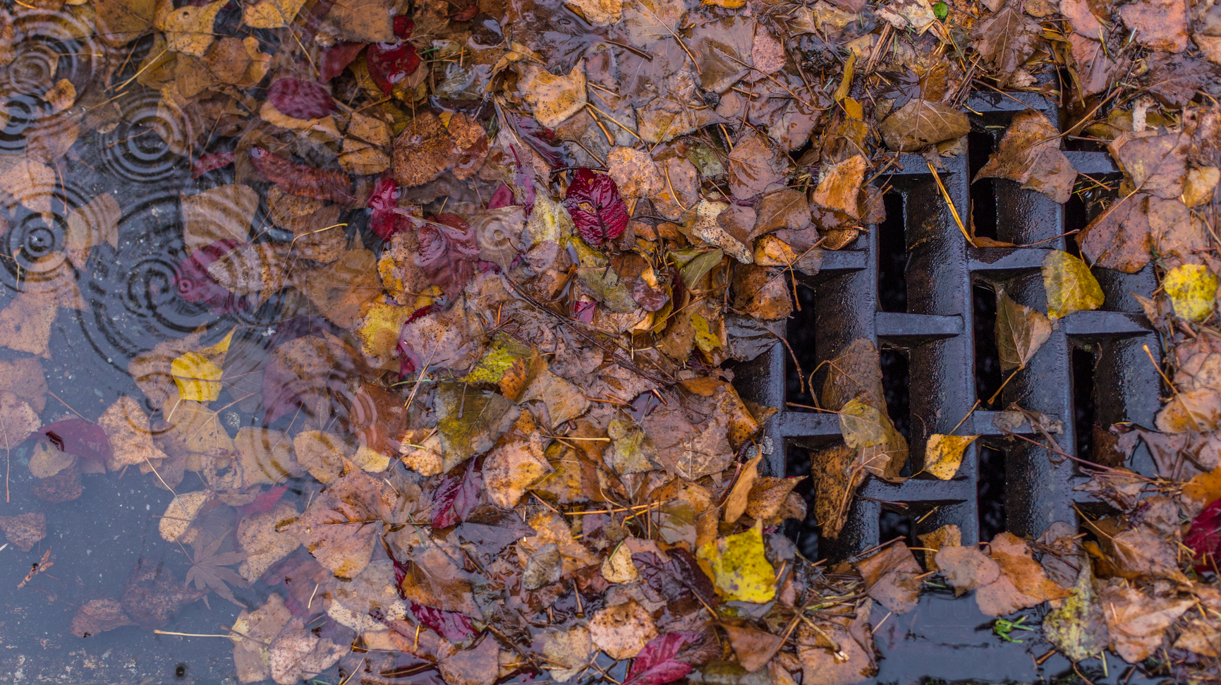 Dreamstime Xl 65049237 653c01a3a2884