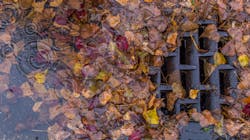 Dreamstime Xl 65049237 653c01a3a2884 Dreamstime Xl 65049237 653c01a3a2884