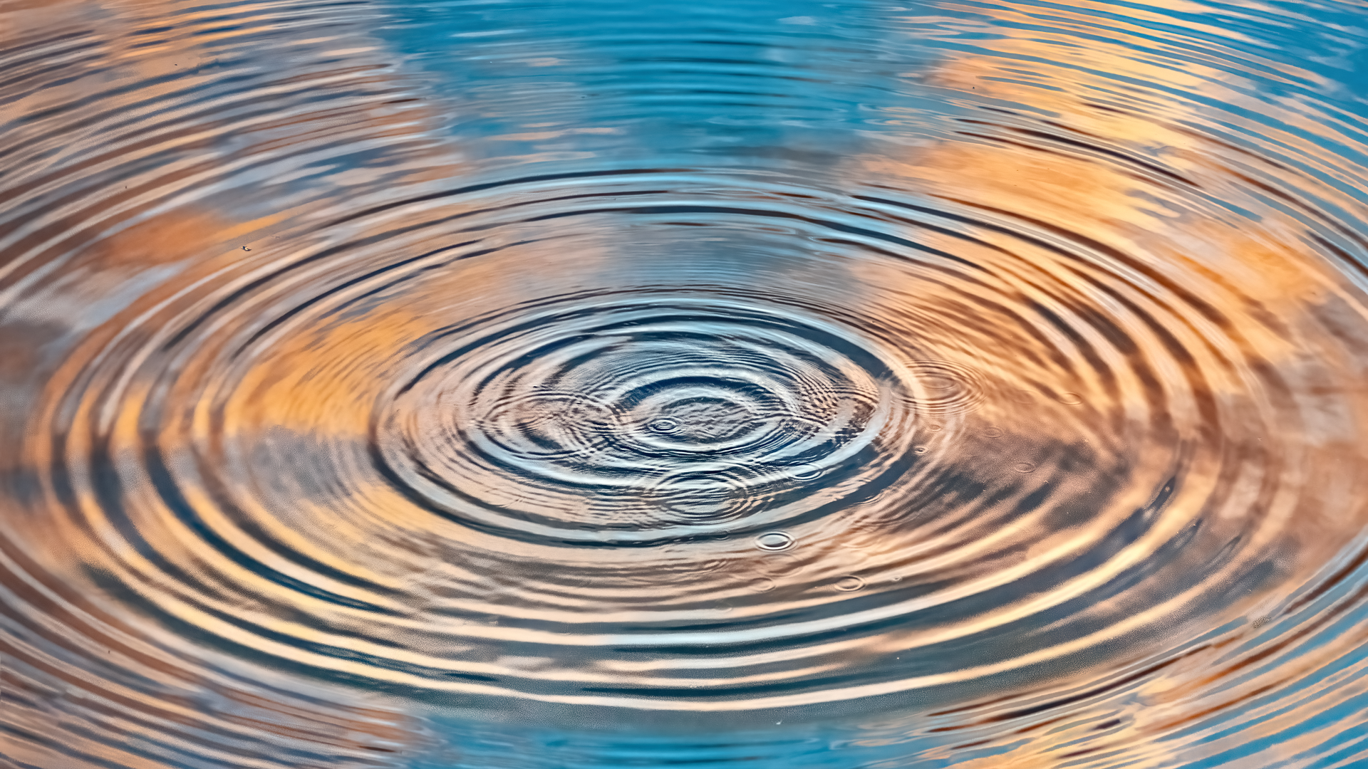 Dreamstime Xxl 221862613 6536a174dac44