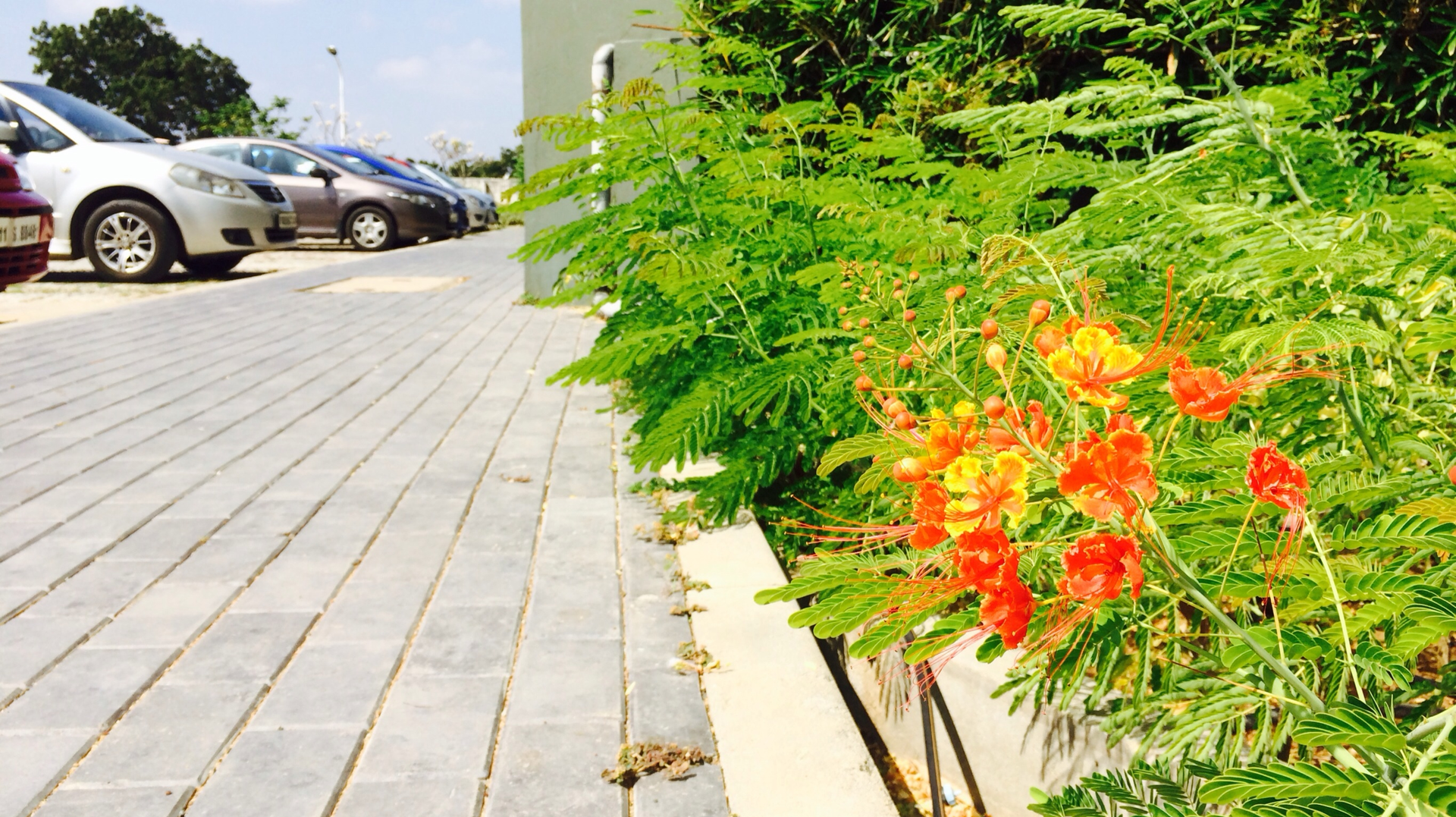 Dreamstime Xxl 37110149 65313dea86891