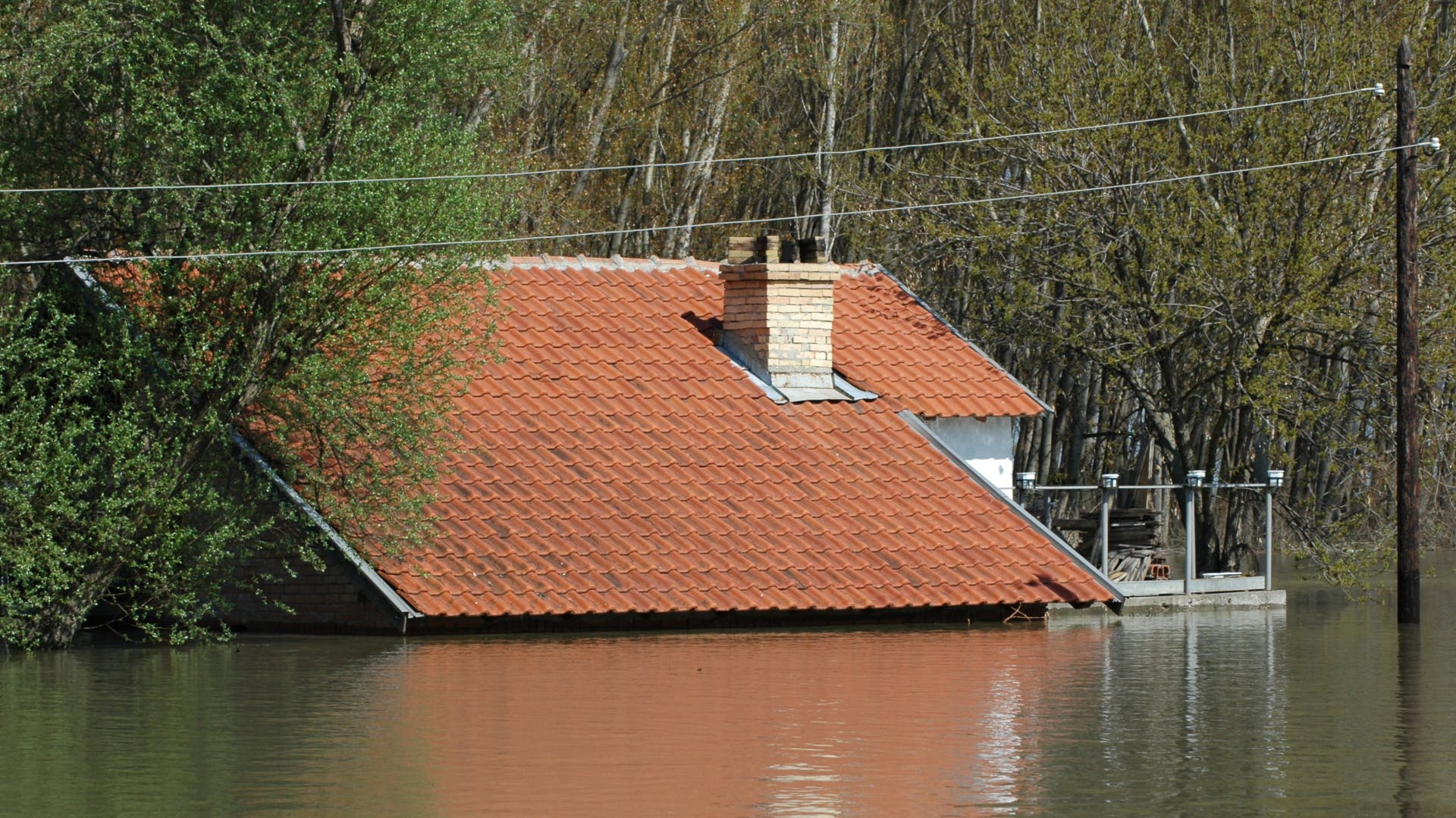 653fe66f223022001e836592 Untitled 1