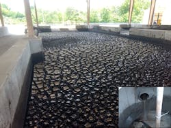 TSS filtration leaves dry sludge cakes in an ESCS-amended biofiltration system. TSS filtration leaves dry sludge cakes in an ESCS-amended biofiltration system.